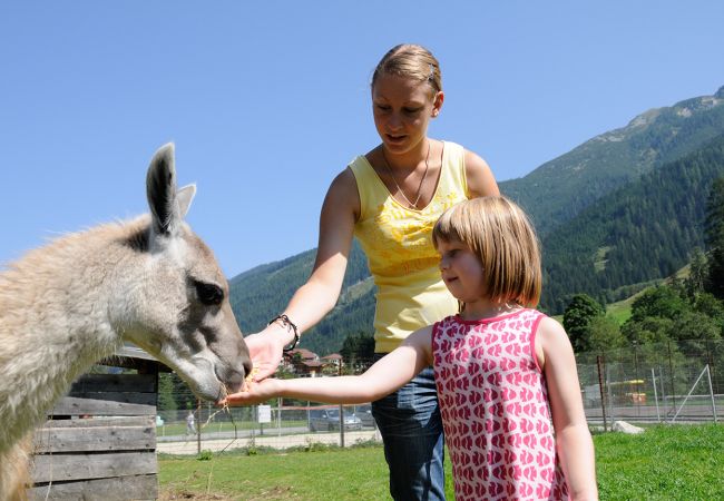 Wild- und Freizeitpark