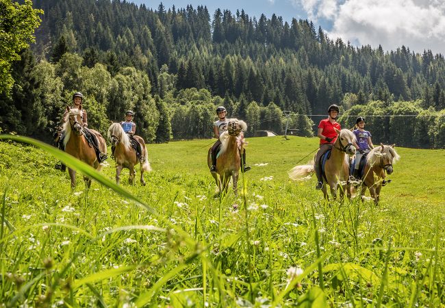 Reiten SalzburgerLand