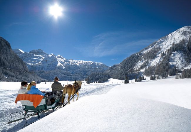 Pferdeschlittenfahrten Obertauern